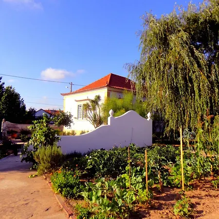 Rosa Estilo Romantico Alloggio in famiglia *