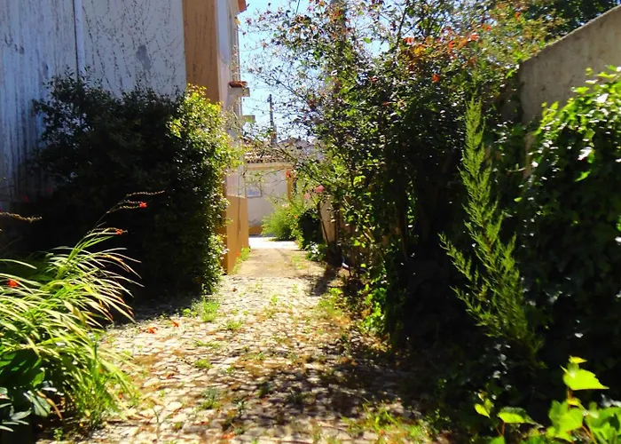 Rosa Estilo Romantico